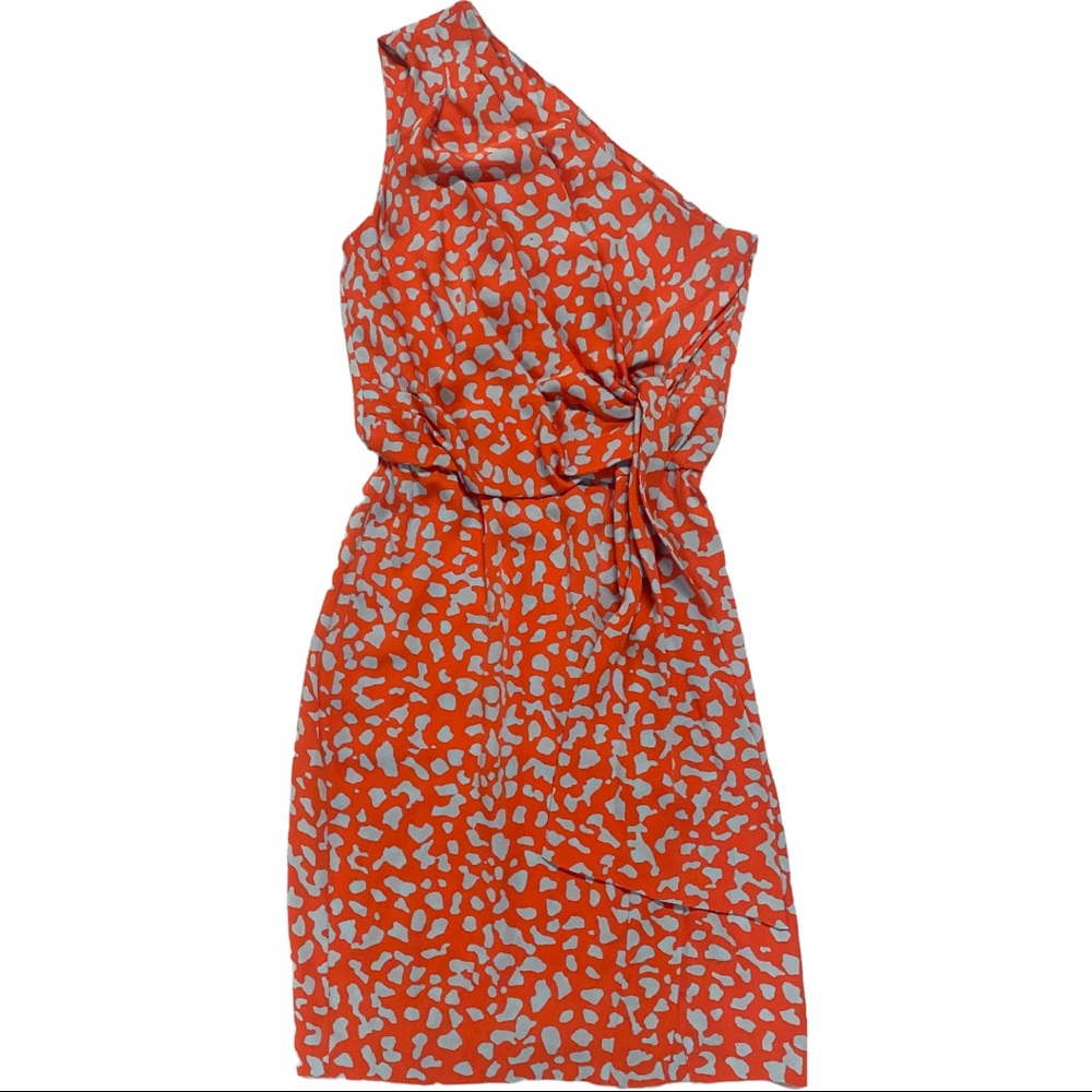 Diane Von Furstenburg 4 dress